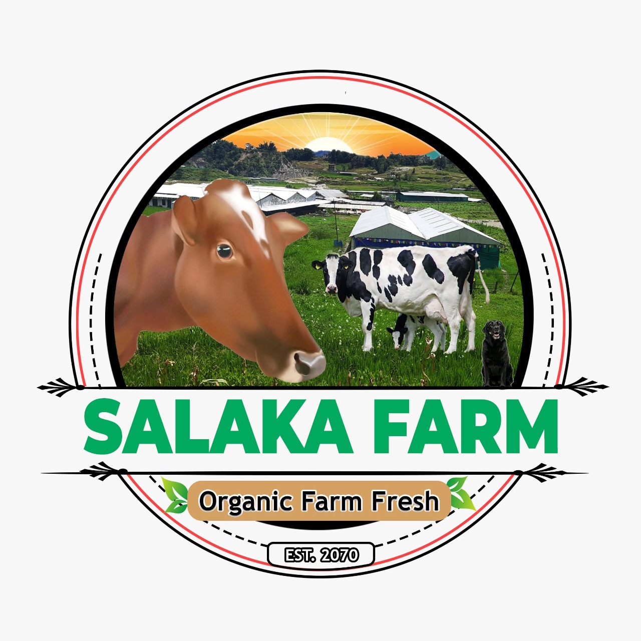 Salaka Dairy Fram : Fresh and Organic